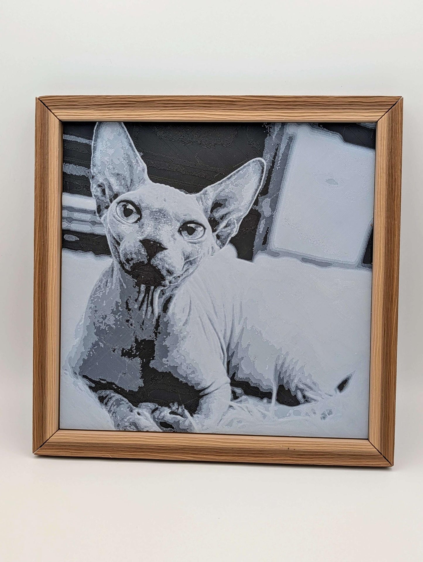 Custom 3D Printed Portrait with Frame – Personalized Photo to Art, Unique Gift, Wall Decor
