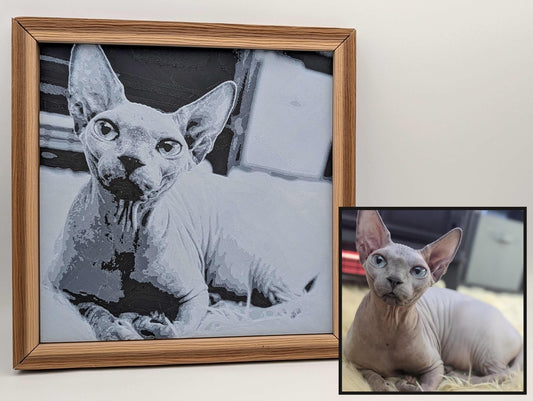 Custom 3D Printed Portrait with Frame – Personalized Photo to Art, Unique Gift, Wall Decor
